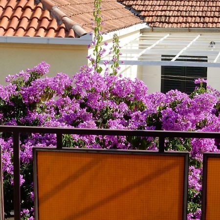Apartments Indira Lovište المظهر الخارجي الصورة