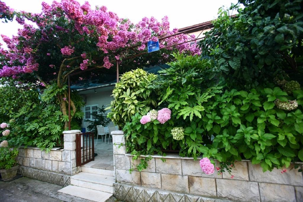Apartments Indira Lovište الغرفة الصورة