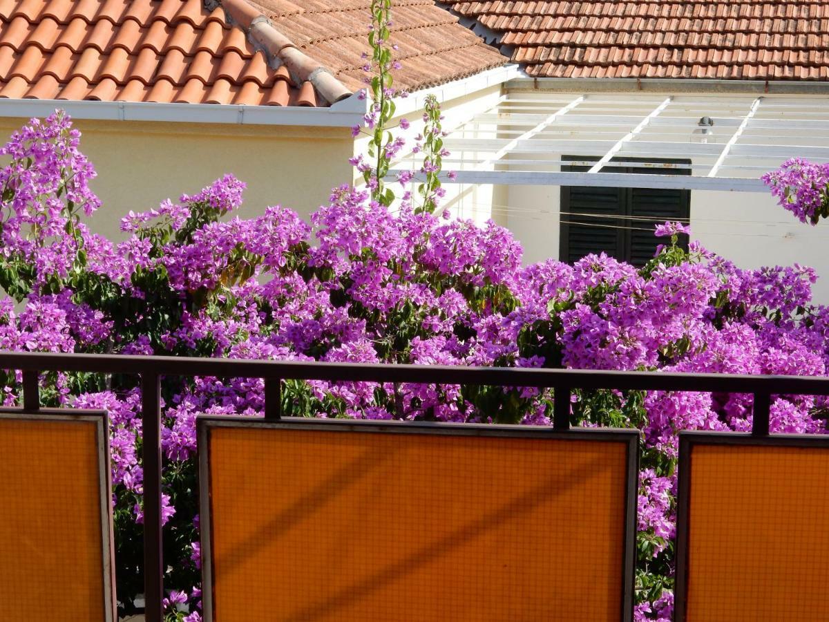 Apartments Indira Lovište المظهر الخارجي الصورة